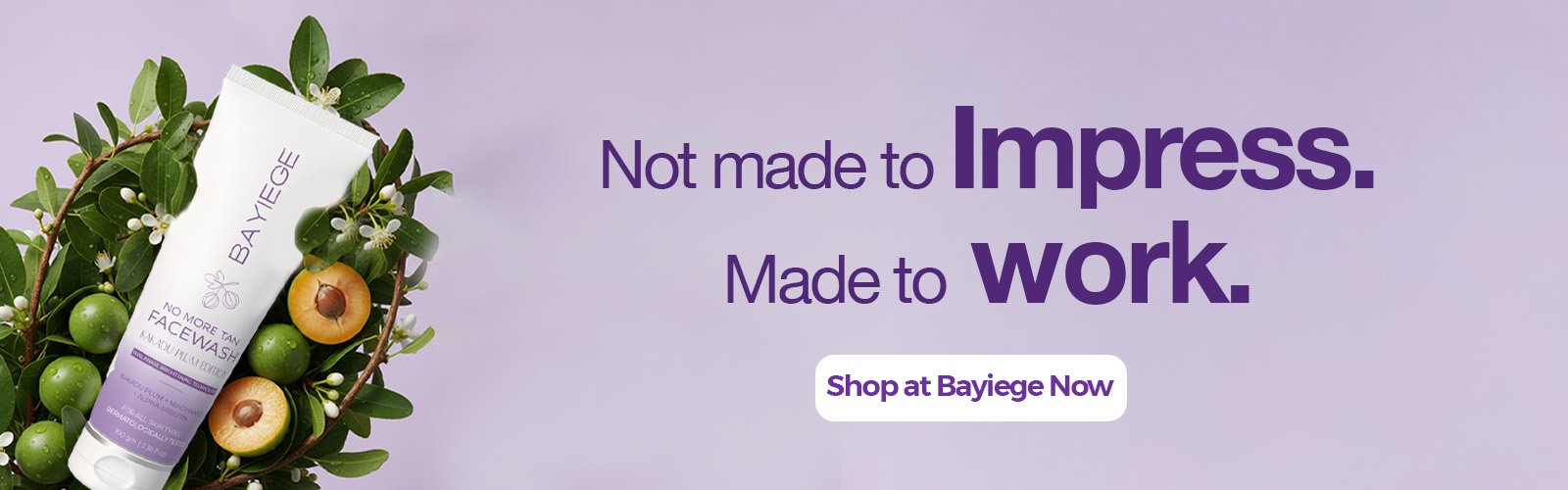 Bayeige banner