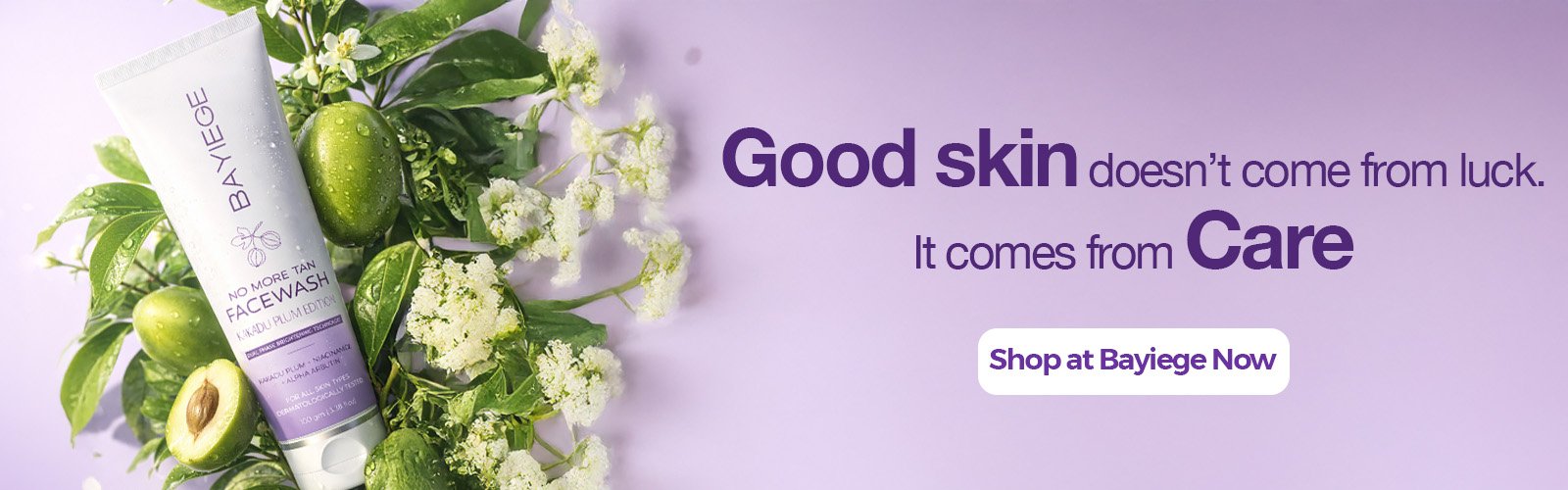 Bayeige banner